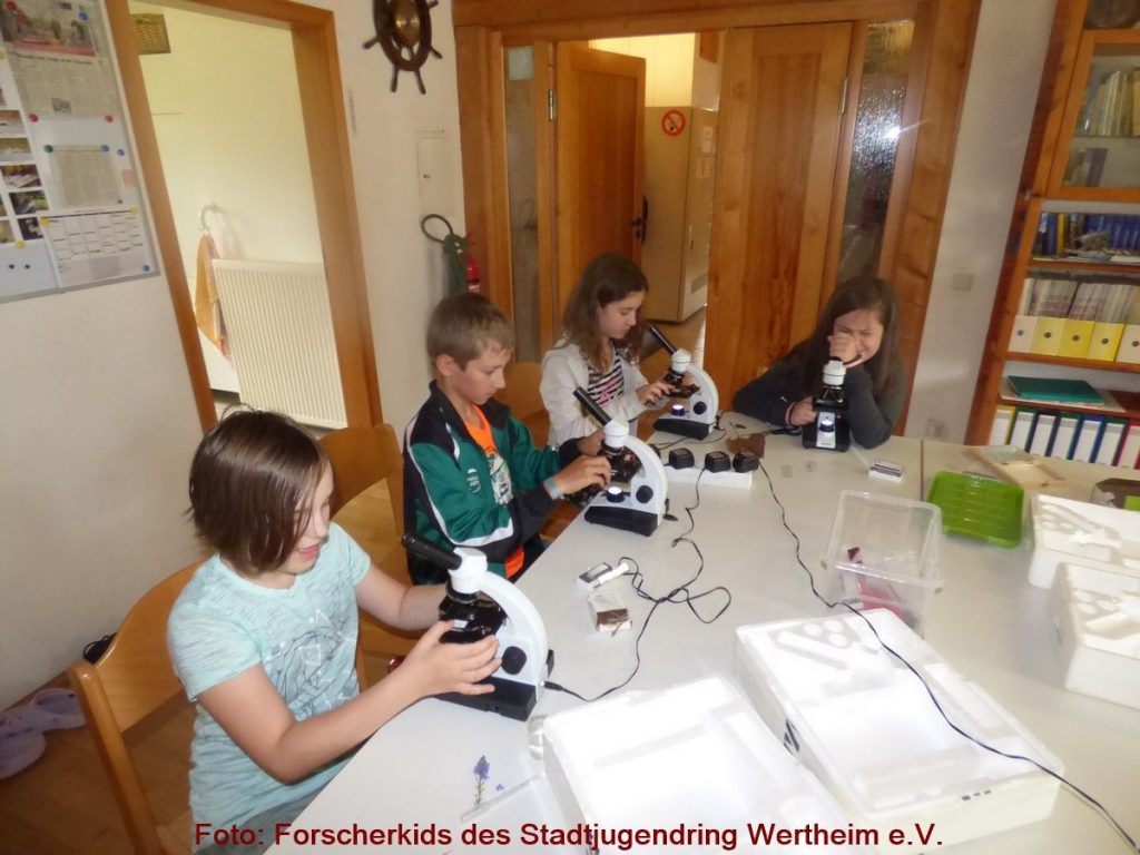 Die Forscherkids des Stadtjugendring Wertheim e.V. bieten im ersten Schulhalbjahr für interessierte Schulkinder wieder vielfältige Angebote.
